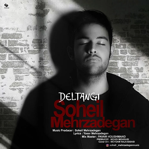 Cover artwork for Deltangi by Soheil Mehrzadegan